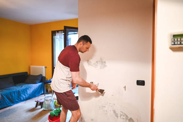 Best Localized Mold Remediation (e.g., coastal areas, humid climates) in North Conway, NH